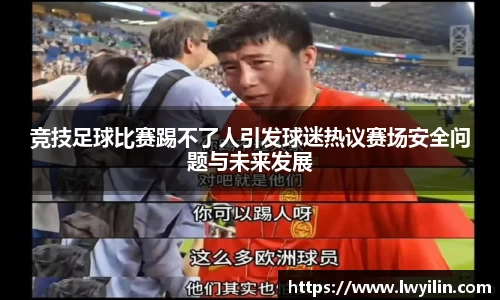 竞技足球比赛踢不了人引发球迷热议赛场安全问题与未来发展