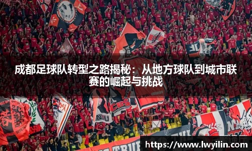 成都足球队转型之路揭秘：从地方球队到城市联赛的崛起与挑战